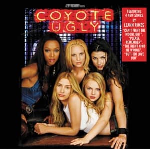 Can't Fight The Moonlight — LeAnn Rimes